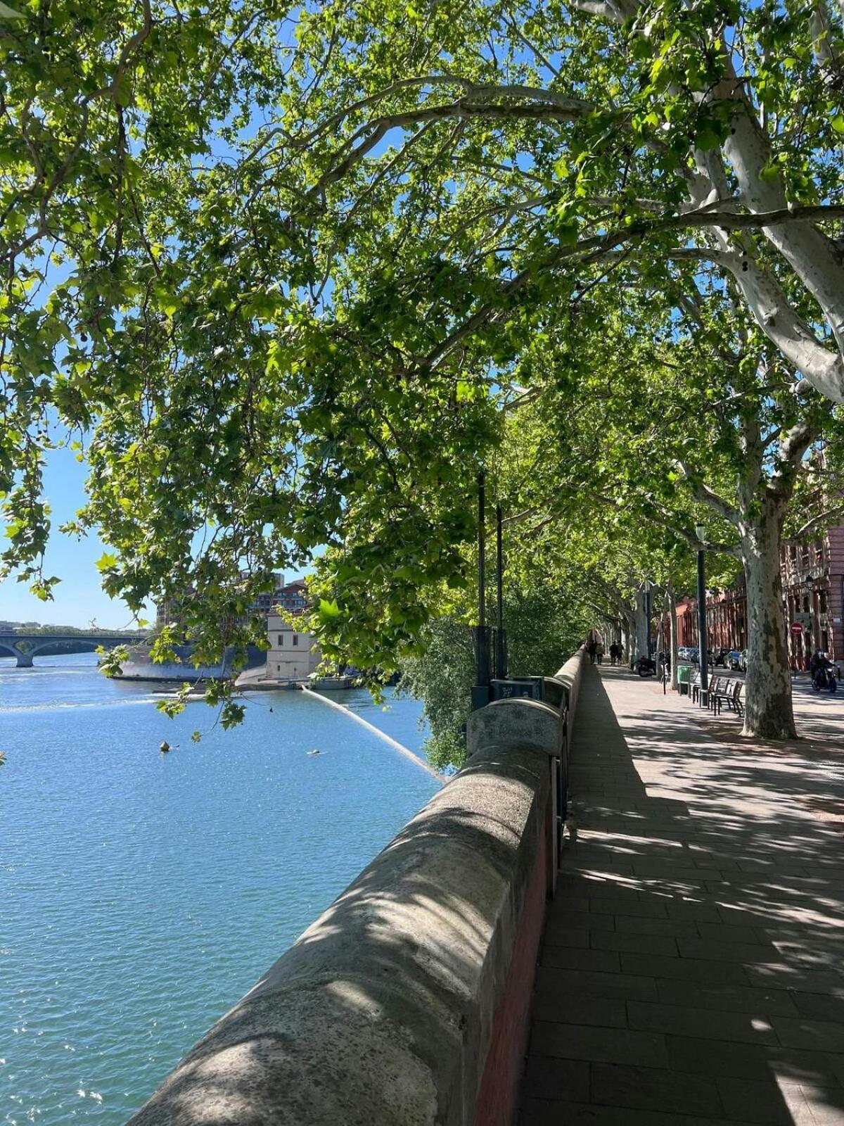 Le Saphir Lägenhet Toulouse Exteriör bild